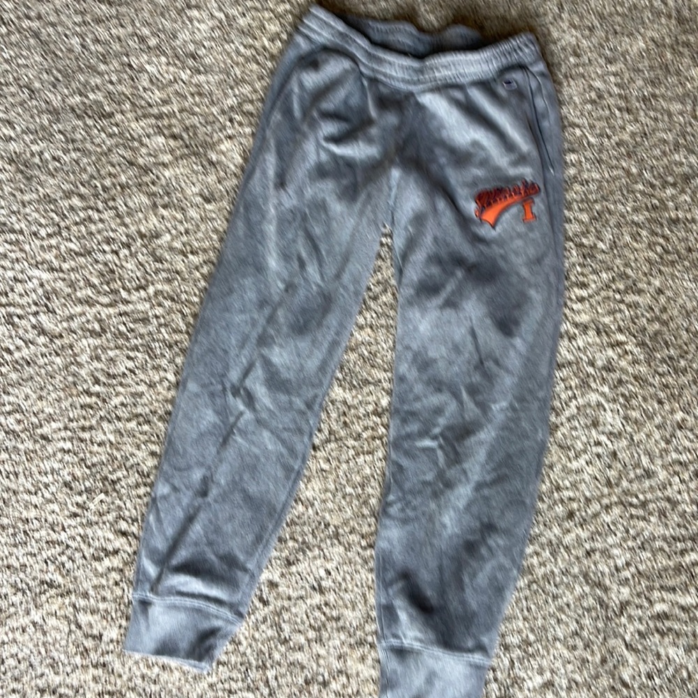 Champion joggers with illinois on it